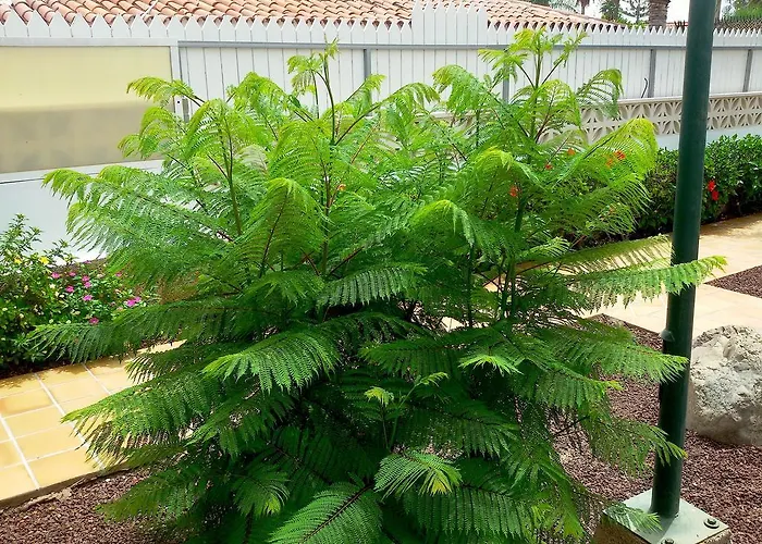 Lejlighed Gay Paso Chico - Gay Men Only *