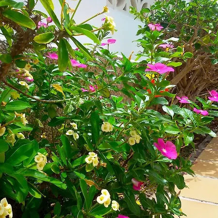 Gay Paso Chico - Gay Men Only Apartament *