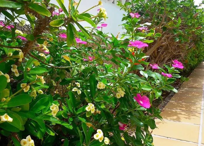 Gay Paso Chico - Gay Men Only Appartement *