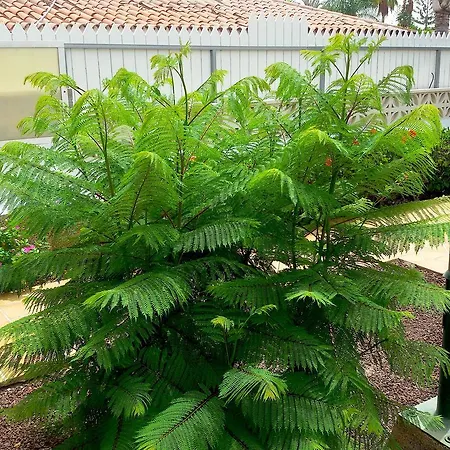 Apartament Gay Paso Chico - Gay Men Only *